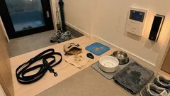 犬が吠え止まないのはなぜ？「撫でてなだめる」が逆効果になる仕組みと、落ち着きを教える手順