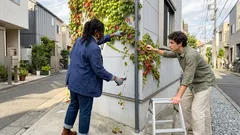 壁を秋色に染めるツタ、パルテノシッサスの育て方:外壁に這わせる前の注意点