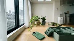 なぜ緑に惹かれる？色彩心理が示す5つの傾向と日常での活かし方