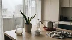 サンスベリアがしおれるのは栄養不足だけじゃない?水やりの見直しと“台所3材料”の浸け置き