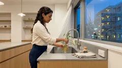 水だけで楽しむ観葉植物3選:ポトス・ラッキーバンブー・オリヅルランの水栽培のコツと「空気」への期待値