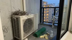 エアコン室外機の上にハトの巣?実は選ばれる条件がある――放置リスクと家でできる対処