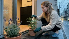 玄関に入る“気”を整える庭の風水:ルーとラベンダーの置き方と注意点